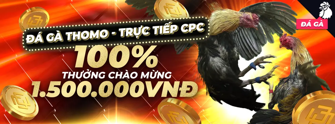 ĐÁ GÀ THOMO 100% Thưởng Nạp Lần Đầu